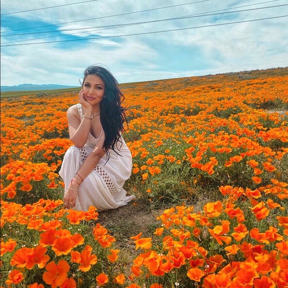 Meet your Posher, Orchideh - Picture 3 of 4